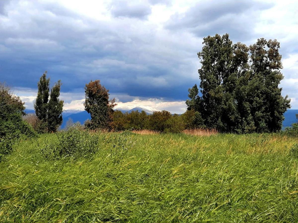 Вилла בית קסום בשדה נחמיה Экстерьер фото